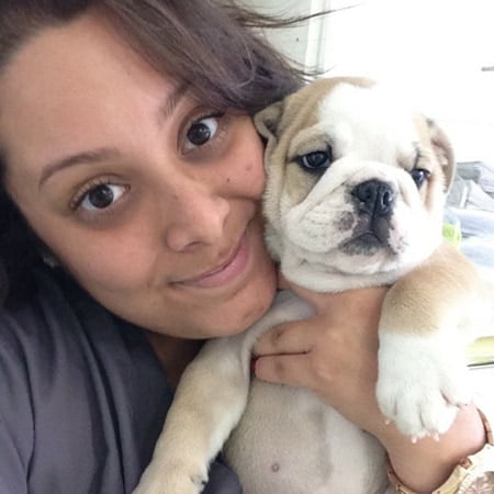 Team member Veronica holding her cute beige and white English Bulldog puppy
