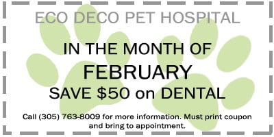 Eco Deco Coupon Save $50 on dental